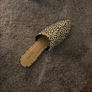 Cheetah flats